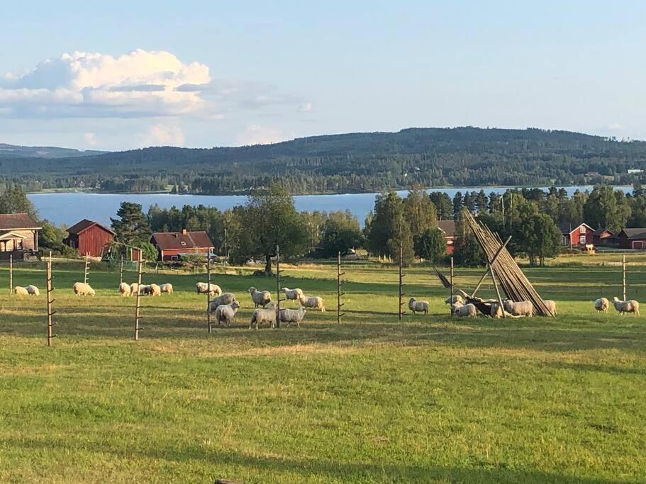 Idyllic Dalarna At The * Leksand